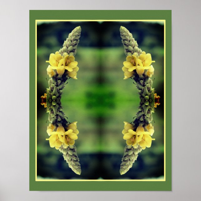 Vild Gult Mullein Flower Abstrakt Poster (Framsidan)