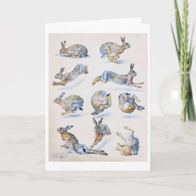 Vild Hare-studier (kanin), Bruno Liljefors Kort (Framsida)