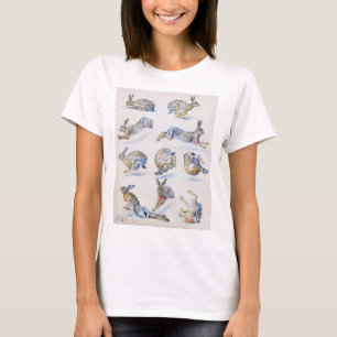 Vild Hare-studier (kanin), Bruno Liljefors T Shirt