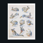 Vild Hare-studier (kanin), Bruno Liljefors Vykort<br><div class="desc">Bruno Andreas Liljefors (14 maj 1860-18 december 1939) var svensk konstnär. Han är kanske bäst känd för sin natur och sina djurmotiv, särskilt i dramatiska situationer. Han var den viktigaste och förmodligen mest inflytelserika svenska naturvårdsmålaren i slutet av 1800- och 1900-talet i tidigt. Han ritade också några sekventiella bild-historier och...</div>