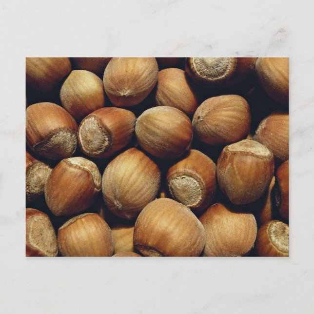 Vild hasselnut vykort (Framsida)