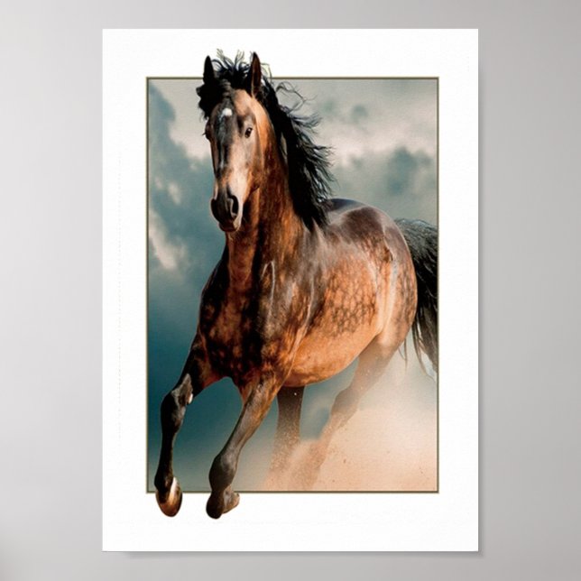 Vild häst poster (Framsidan)