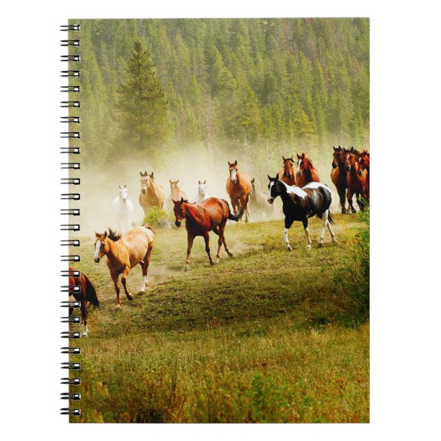 Vild Hästar Anteckningsbok (Framsidan)