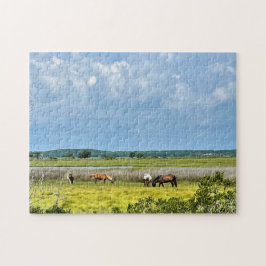 Vild hästar av Assateague Pussel