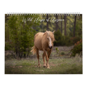 Vild - hästar i Arizona Calendar Kalender