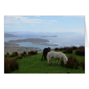 Vild hästar i Irland Hälsningskort