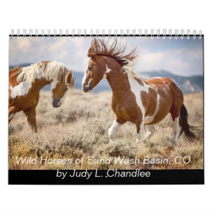 Vild Hästar Kalender