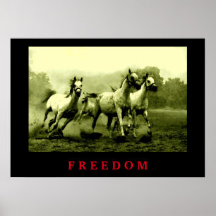 Vild Hästar Motivational Freedom Artwork Poster