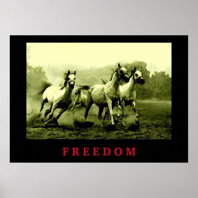 Vild Hästar Motivational Freedom Artwork Poster (Framsidan)