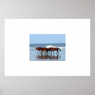 Vild Hästar på stranden Poster