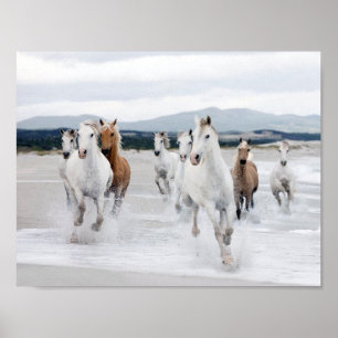 Vild hästar som går på stranden poster