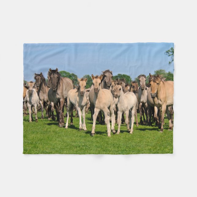 Vild Herd Grullo Färgad Dulmen Horses Foals - Fleecefilt (Framsidan (Horisontell))