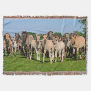Vild Herd Grullo Färgad Dulmen Horses Foals mysigt Mysfilt