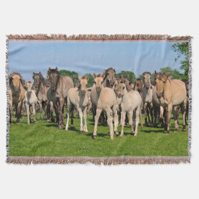 Vild Herd Grullo Färgad Dulmen Horses Foals mysigt Mysfilt (Framsidan)