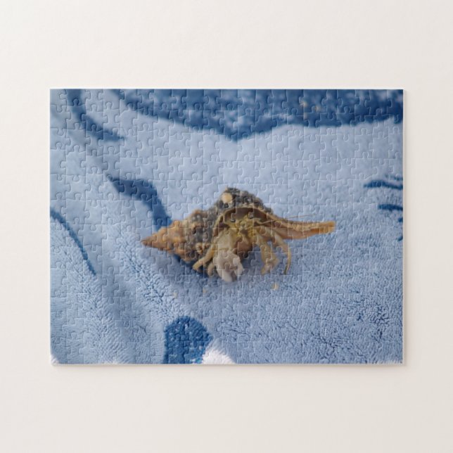 Vild Hermit Crab in Snäcka Ocean Life Photo Pussel (Horisontell)