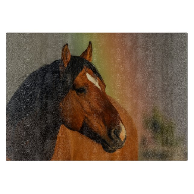 Vild Hingst, Gyllene Ljus och Regnbåge (Framsidan)