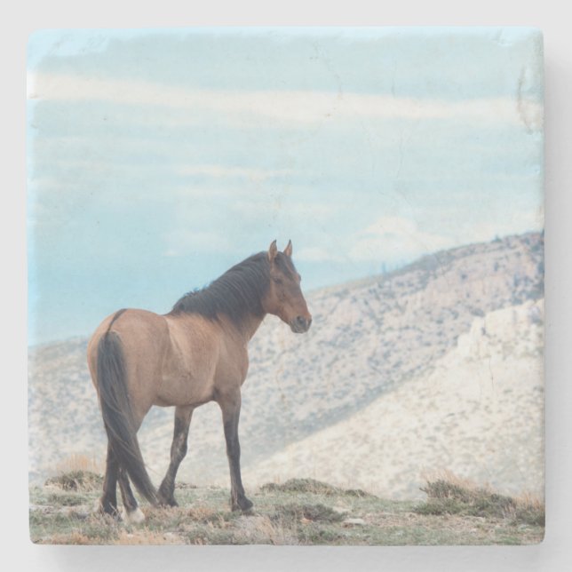 Vild hingst Mustang Stenunderlägg (Framsidan)