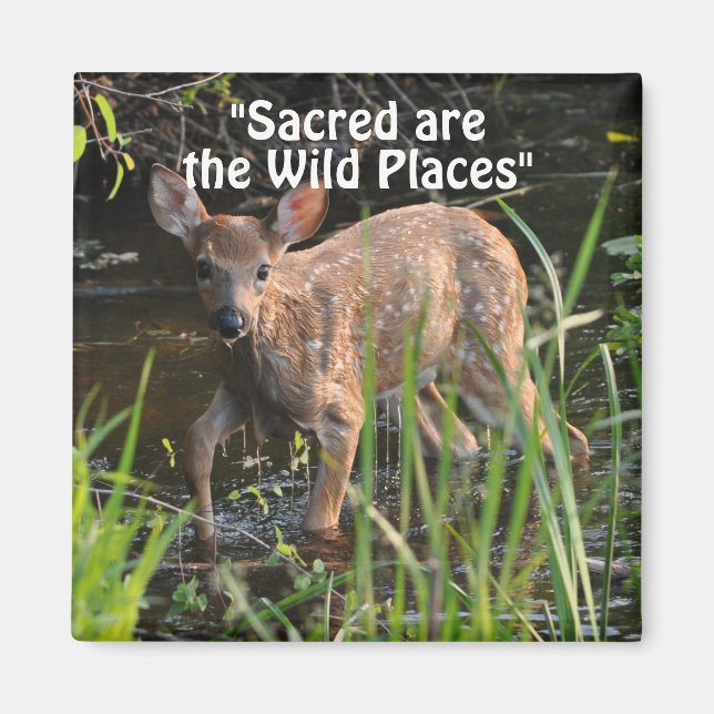 Vild Hjort Fawn Wilderness Gift Magnet (Framsidan)