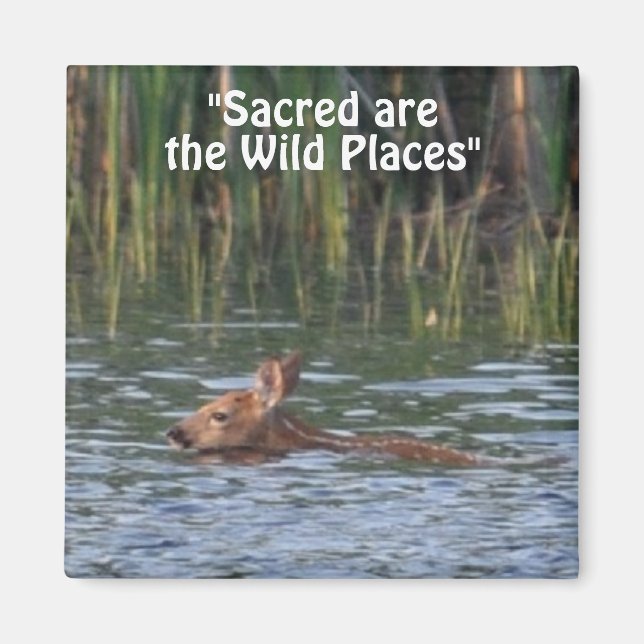 Vild Hjort Fawn Wilderness Gift Magnet (Framsidan)