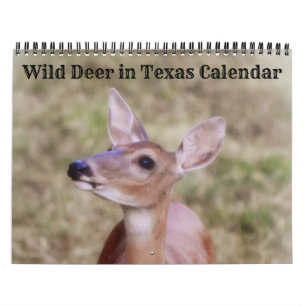 Vild Hjort i Texas Calendar Kalender