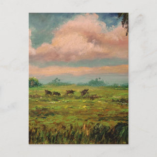 Vild Hog Hunting i Florida Vykort