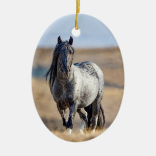 Vild Hoofbeats Blue Zeus Walks Ornament