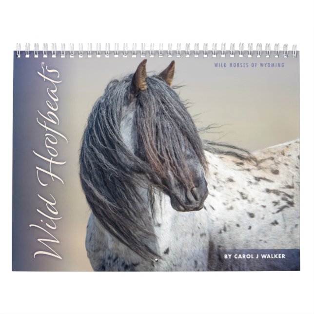 Vild Hoofbeats: Vild av Wyoming Calendar Kalender (Omslag)