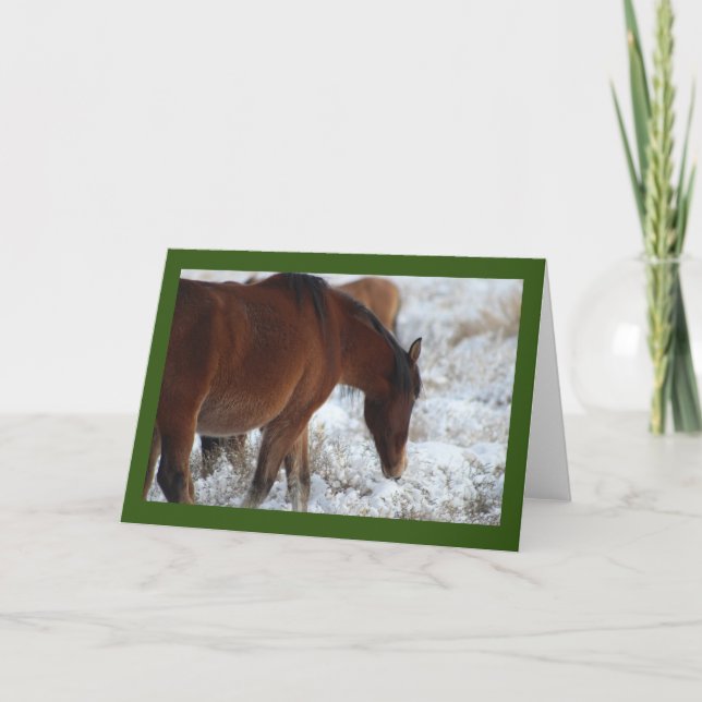 VILD HORS AV UTAH I SNÖ GREETING CARD KORT (Framsida)
