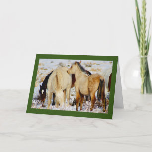 VILD HORS AV UTAH NATIVITY CHRISTMAS Card Kort