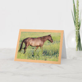 VILD HORS AV UTAH OURAY NOTE CARD KORT