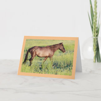 VILD HORS AV UTAH OURAY NOTE CARD KORT
