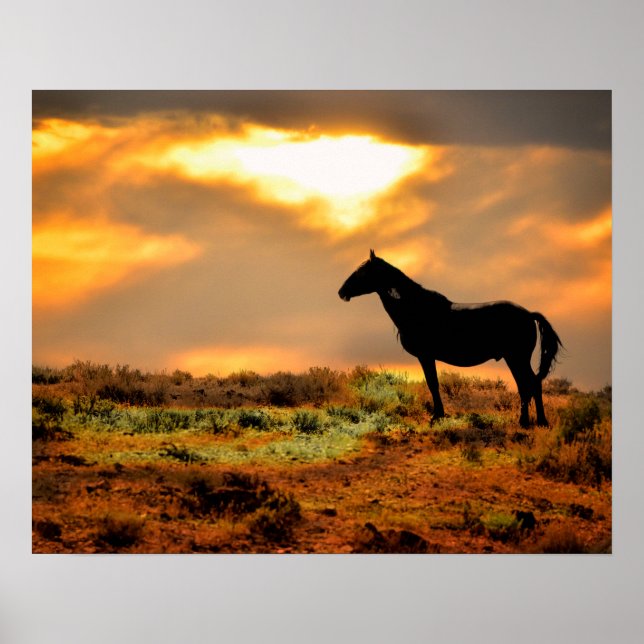Vild Horse at Sunset Poster (Framsidan)