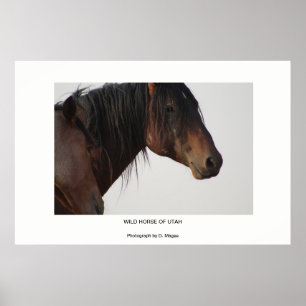 VILD HORSE AV POSTER UTAH FOTOGRAPHS
