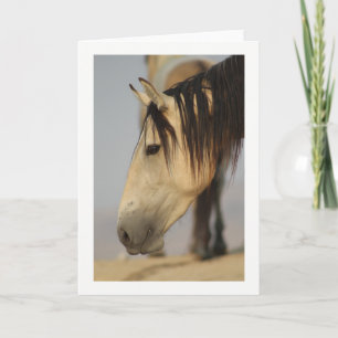 VILD HORSE AV UTAH GREETING CARD KORT