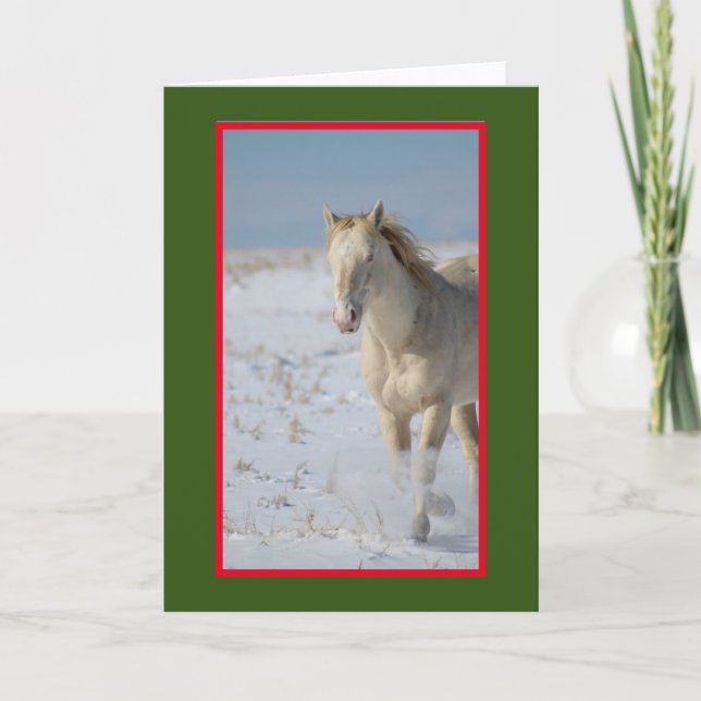 VILD HORSE AV UTAH I SNÖ CHRISTMAS Card Kort (Framsida)