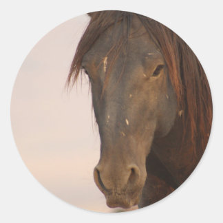 VILD HORSE AV UTAH I WESTERNT ÖNSKAT RUNT KLISTERMÄRKE