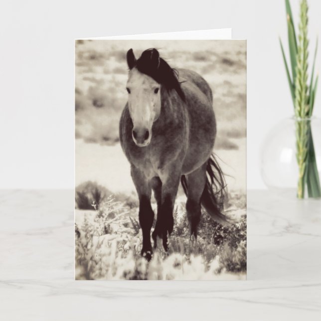 VILD HORSE AV UTAH-MÄTKort Kort (Framsida)