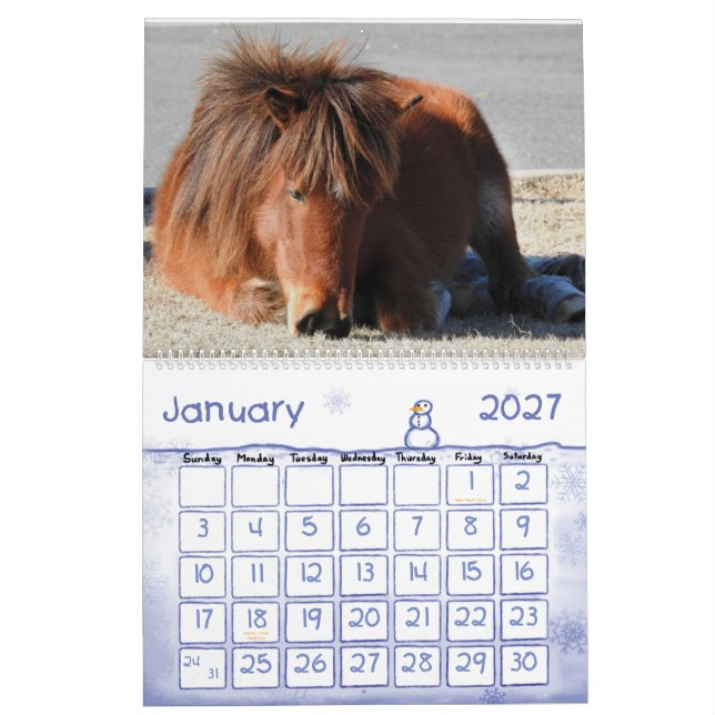 Vild Horse Calendar, Assateague Island Kalender (Jan 2027)