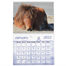 Vild Horse Calendar, Assateague Island