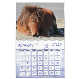 Vild Horse Calendar, Assateague Island Kalender