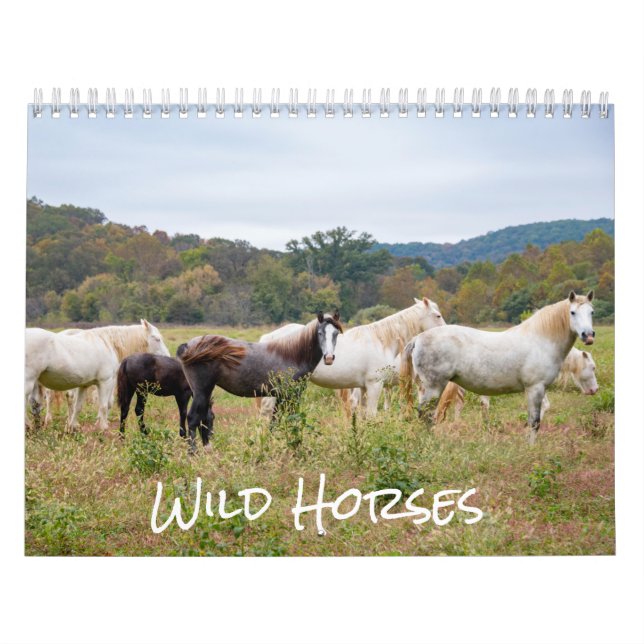 Vild Horse Calendar Kalender (Omslag)
