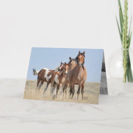 Vild Horse Family Leans Vild Horse Greeting Card Kort