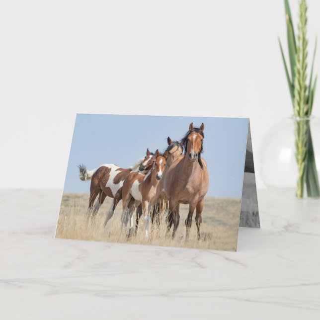 Vild Horse Family Leans Vild Horse Greeting Card Kort (Framsida)