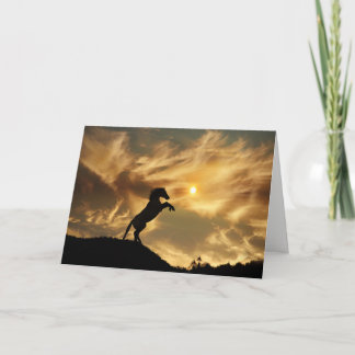 Vild Horse Funny Birthday Card Kort