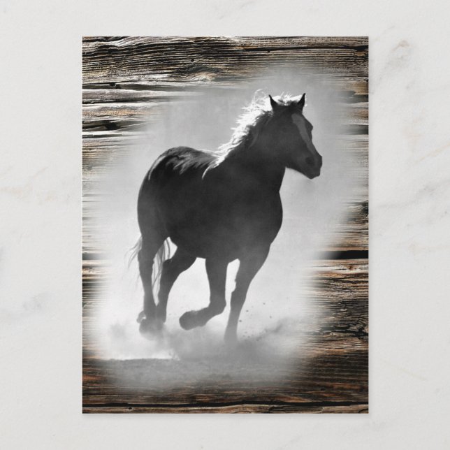 Vild Horse Galloping Meddelande Vykort (Framsida)