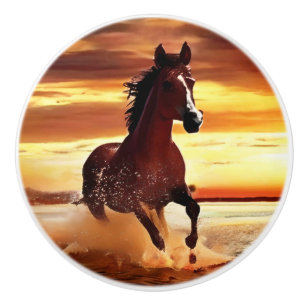 Vild Horse Galloping through Surfa Knopp