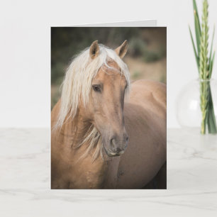 Vild Horse Greeting Card- Coronas sommarkort Portr Kort