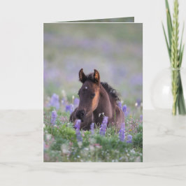 Vild Horse Greeting Card - Fyll i Lupine Kort