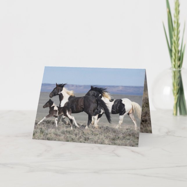 Vild Horse Greeting Card - Gadriel och hans familj Kort (Framsida)