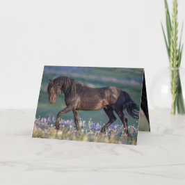 Vild Horse Greeting Card - Galaxy Trots Kort
